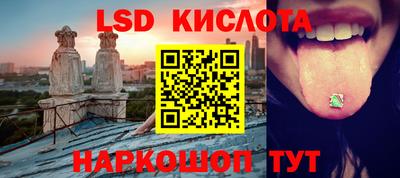 шишки Тверь