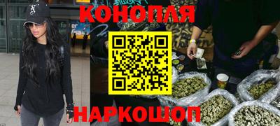 шишки Тверь