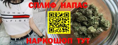 шишки Тверь